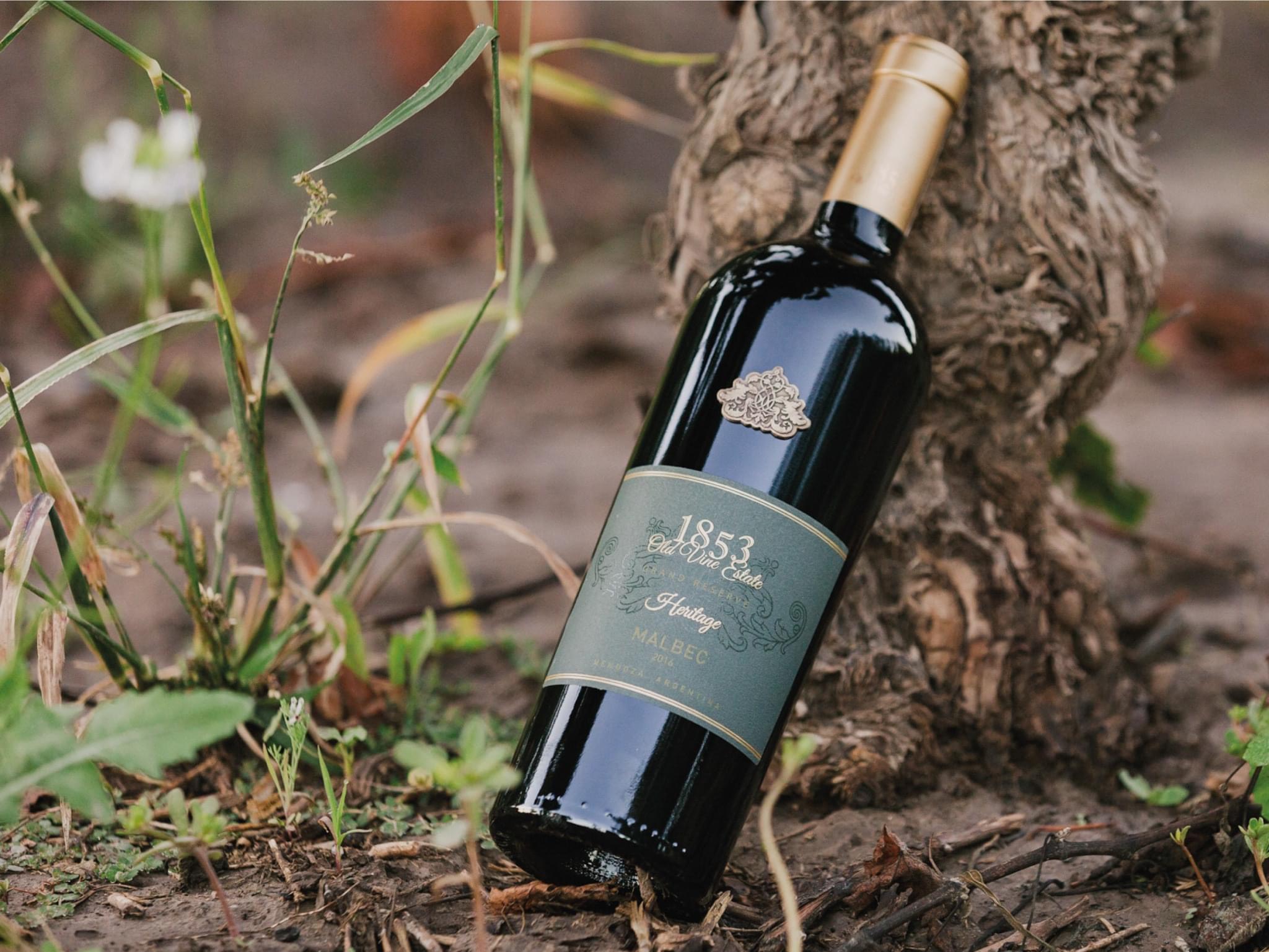 rượu vang Argentina : 1853 Old Vine Estate Heritage Malbec 14,5% rượu vang Argentina : 1853 Old Vine Estate Heritage Malbec 14,5%