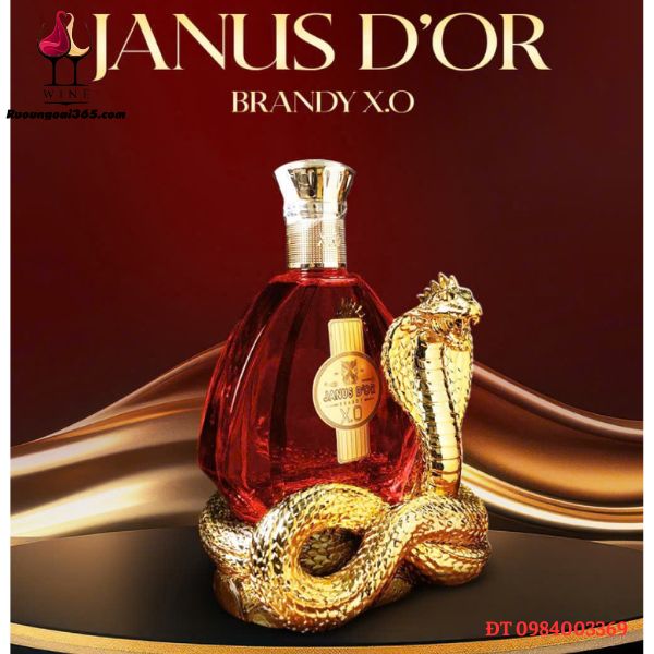 Kệ Rắn Vàng + Rượu Brandy Janus D'or 750ml