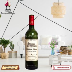 Rượu Vang Pháp CHÂTEAU TAYAC 2020 - CÔTES DE BOURG