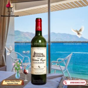 Rượu Vang Pháp CHÂTEAU TAYAC 2020 - CÔTES DE BOURG