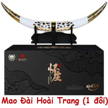 Mao-dai-hoai-trang